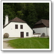 buskuvhamr