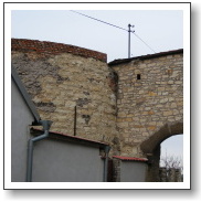bustehrad2