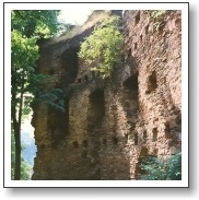 dalecin