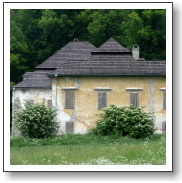 necpaly2