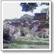 pasovary