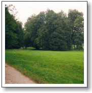 tercinoudoli