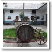 vinarskydvur